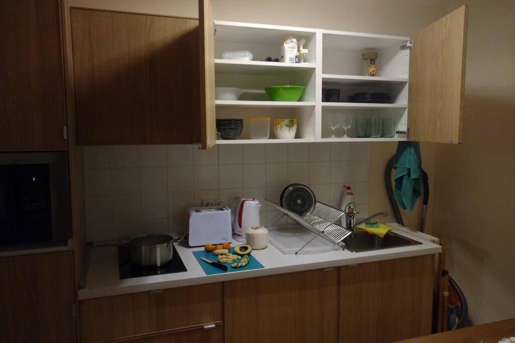 Marvelous Apartment In The Center Of Praga Esterno foto